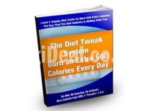 The Diet Tweak System