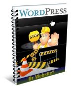 Wordpress or website scripts